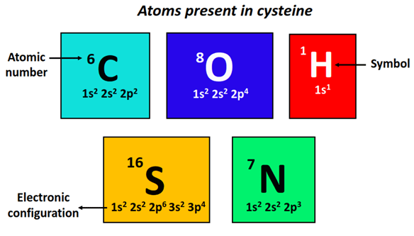 atom present in cysteine