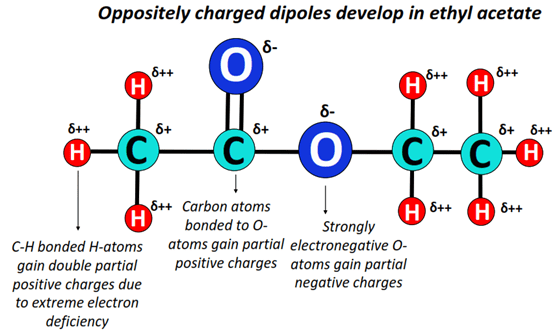 charged develop in ethyl acetate