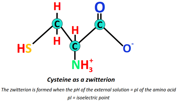 cysteine as zwitterion