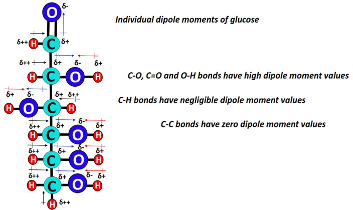 dipole moment of glucose