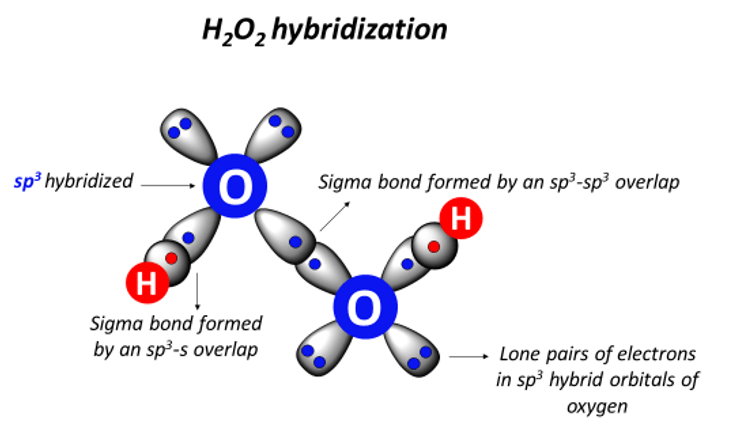 h2o2 hybridization