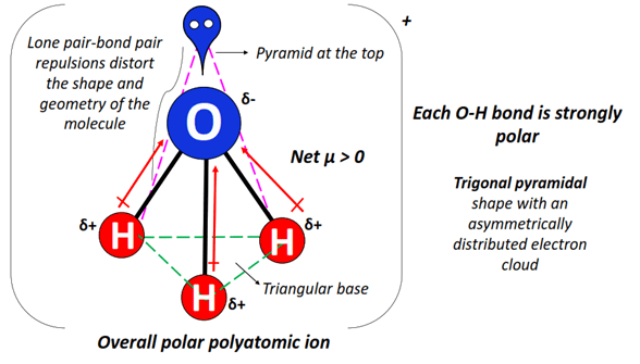 is H3O+ ion polar or nonpolar