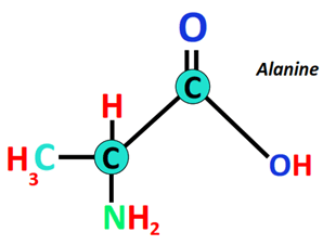 is analine polar amino acid
