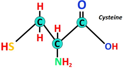 is cysteine polar amino acid