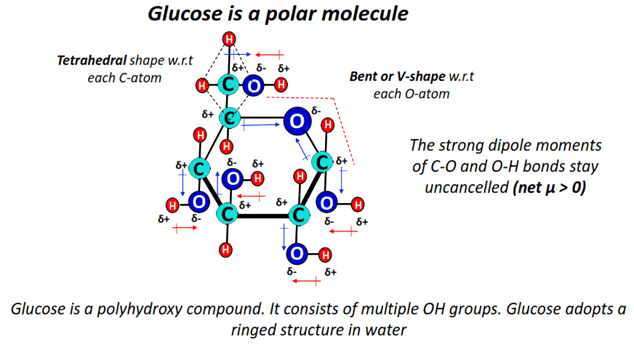 is glucose a polar molecule