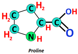 is proline polar amino acid