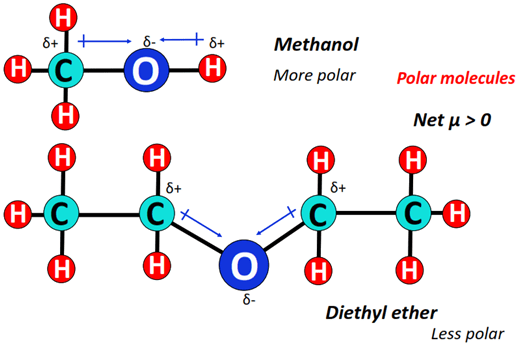 methanol vs diethyl ether polarity