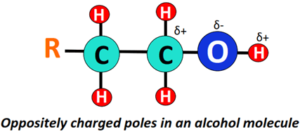 opposite charge developed in alcohol