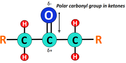 polar carbonyl group in ketones