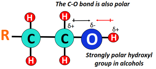 polar hydroxyl group in alcohols