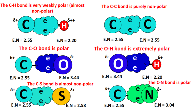 polarity of bonds in cysteine
