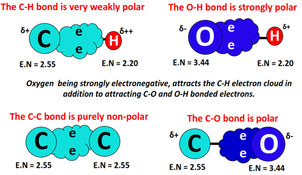 polarity of bonds in glucose