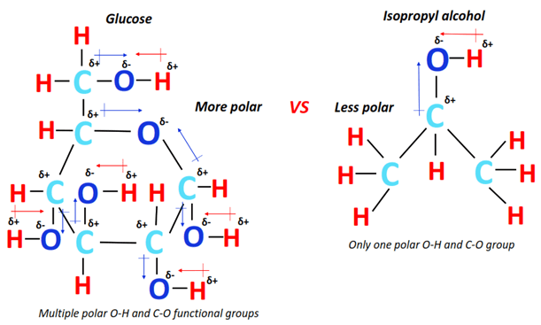 polarity of glucose vs isopropyl alcohol