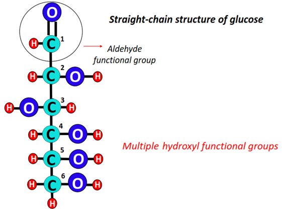 straight structure of glucose