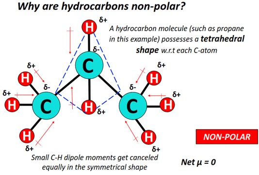 why are hydrocarbon nonpolar