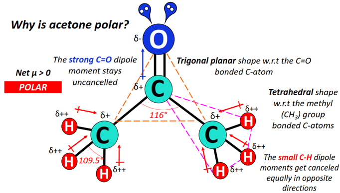 why is acetone polar molecule