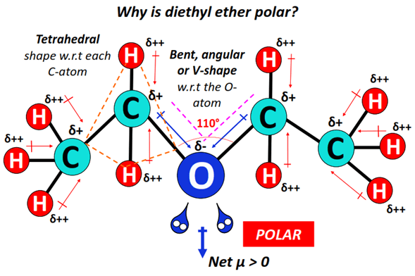 why is diethyl ether polar