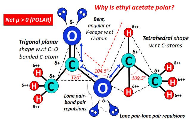why is ethyl acetate polar