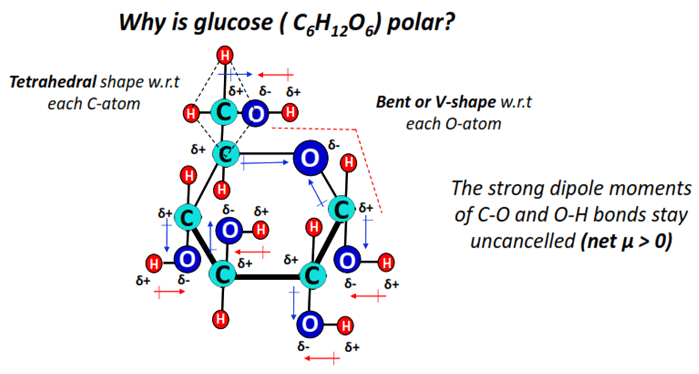 why is glucose (C6H12O6) polar