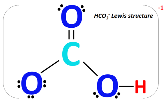 Bicarbonate ion (HCO3-) lewis structure