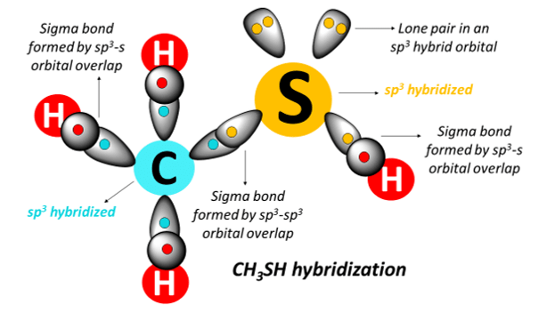 CH3SH hybridization