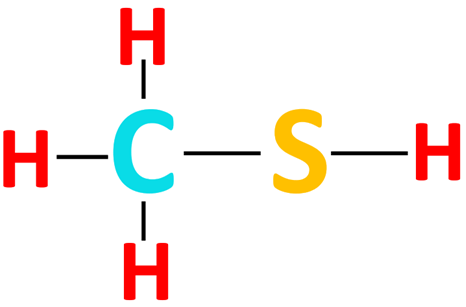 CH3SH skeletal structure