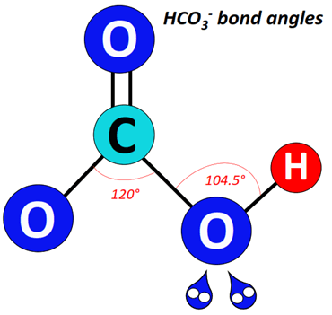 HCO3- bond angle