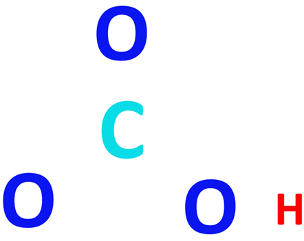 HCO3- central atom