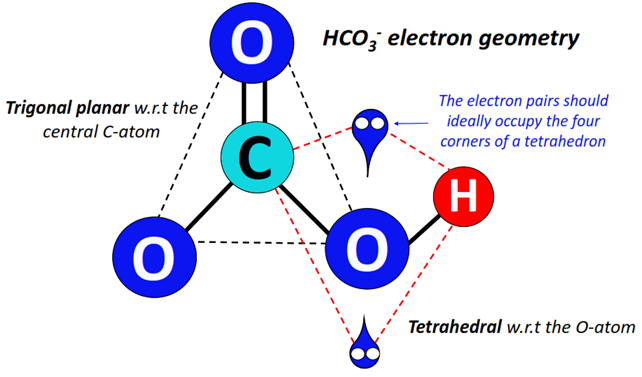 HCO3- electron geometry