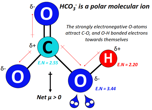 HCO3- polar or nonpolar