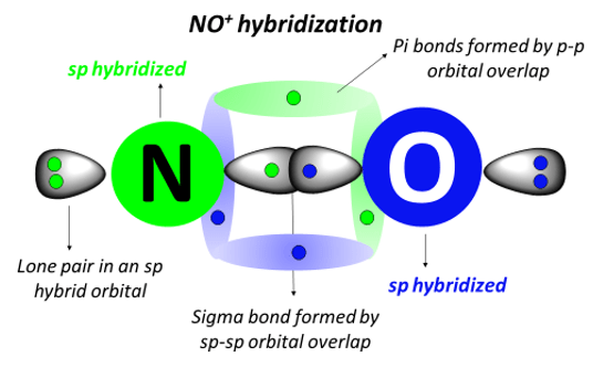 NO+ hybridization