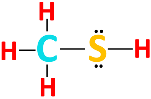 completing octet of atoms in CH3SH