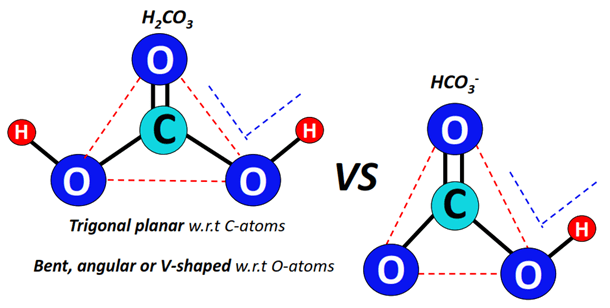 shape of HCO3- vs H2CO3