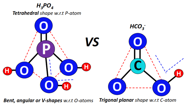 shape of HCO3- vs H3PO4