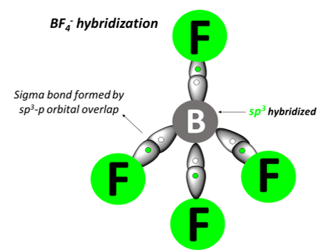 BF4- hybridization