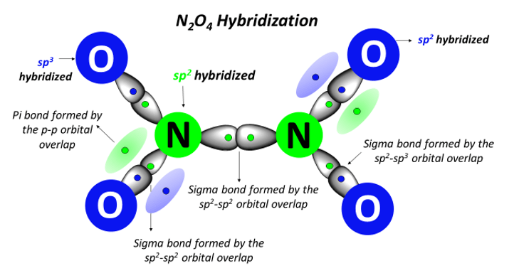 N2O4 hybridization