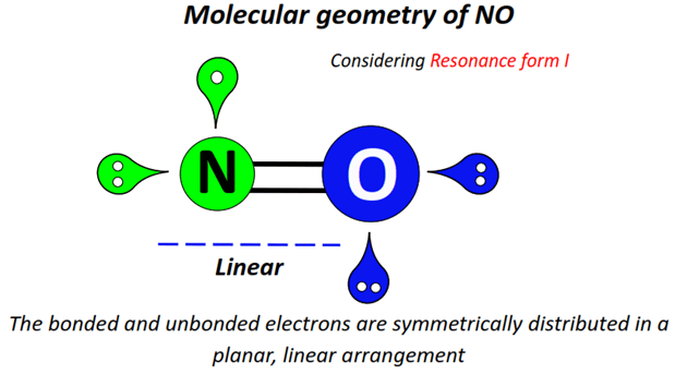 Nitric oxide (NO) molecular geometry or shape