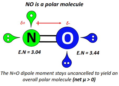 Nitric oxide (NO) polar or nonpolar