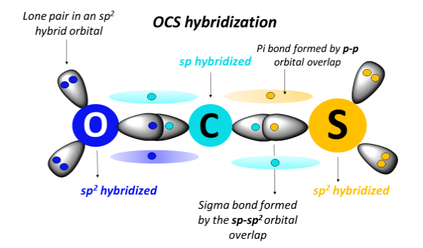 OCS hybridization