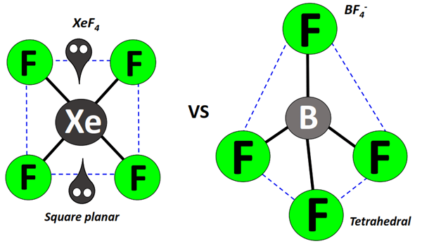 Shape of BF4- vs XeF4