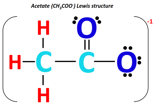 Acetate ion (CH3COO-) lewis structure