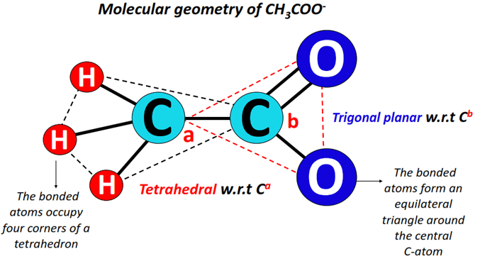 Acetate ion (CH3COO-) molecular geometry or shape