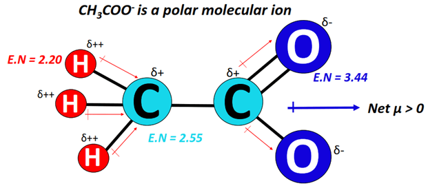 Acetate ion (CH3COO-) polar or nonpolar