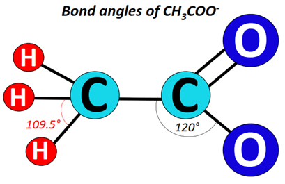 Bond angle of Acetate ion (CH3COO-)