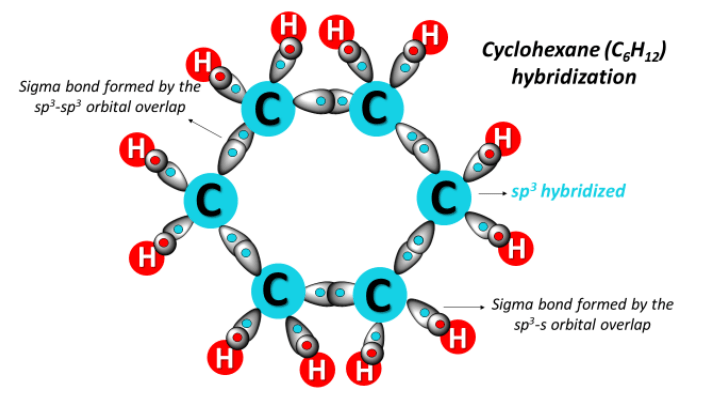 cyclohexane (C6H12) hybridization
