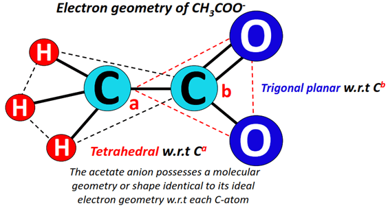 Electron geometry of CH3COO-