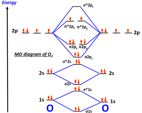 MOT diagram of O2