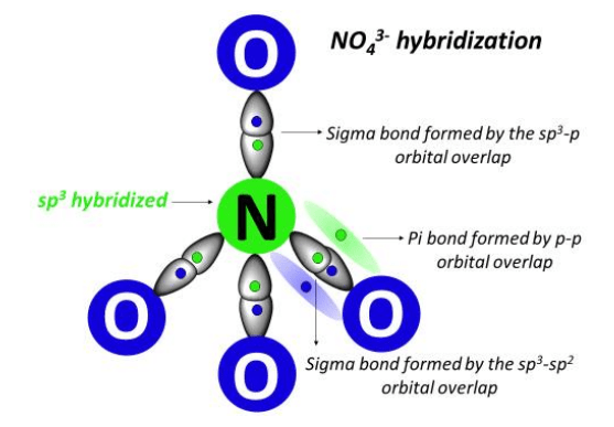 NO43- hybridization