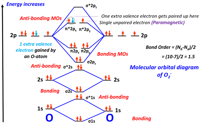 O2- Molecular orbital diagram (MO) and Bond order