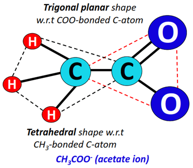 Shape of Acetate ion (CH3COO-)